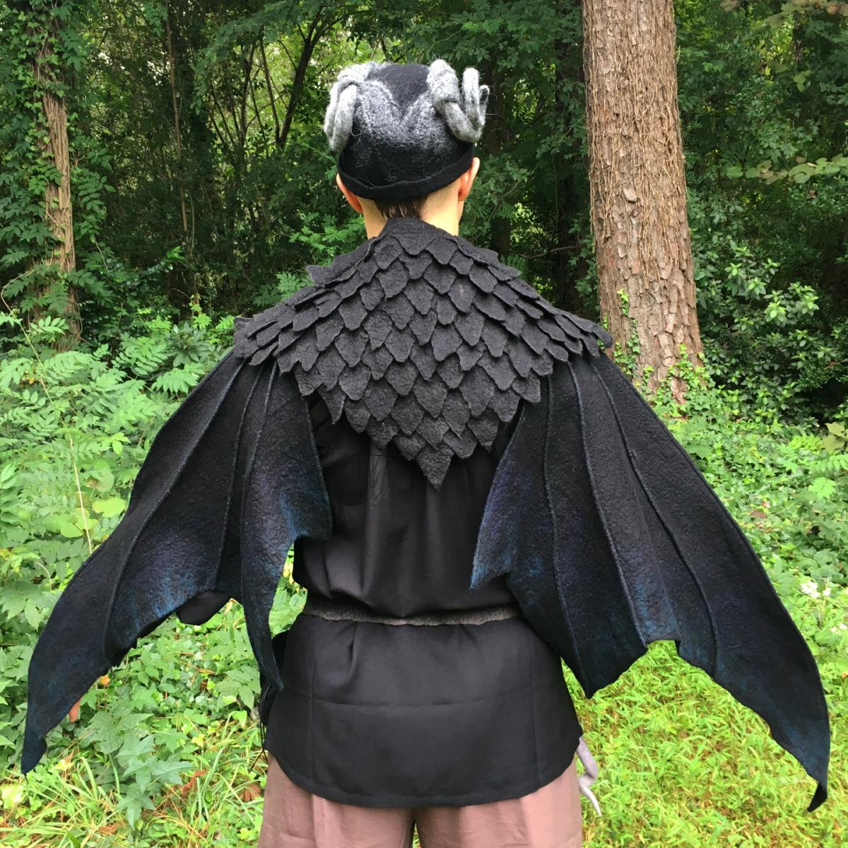 Fairy/Dragon Wings picture
