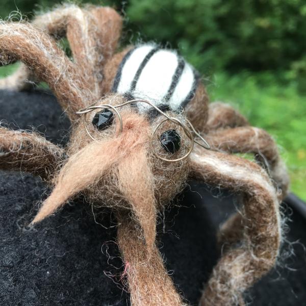 Wolf Spider Bowler picture