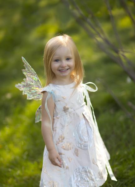 SM Fairy wings