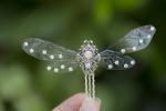 Silver Dragonfly Comb