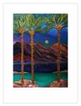 "Desert Night" by Linda Pirri