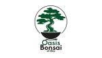 Oasis bonsai