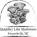 Quandary Lake Mushrooms
