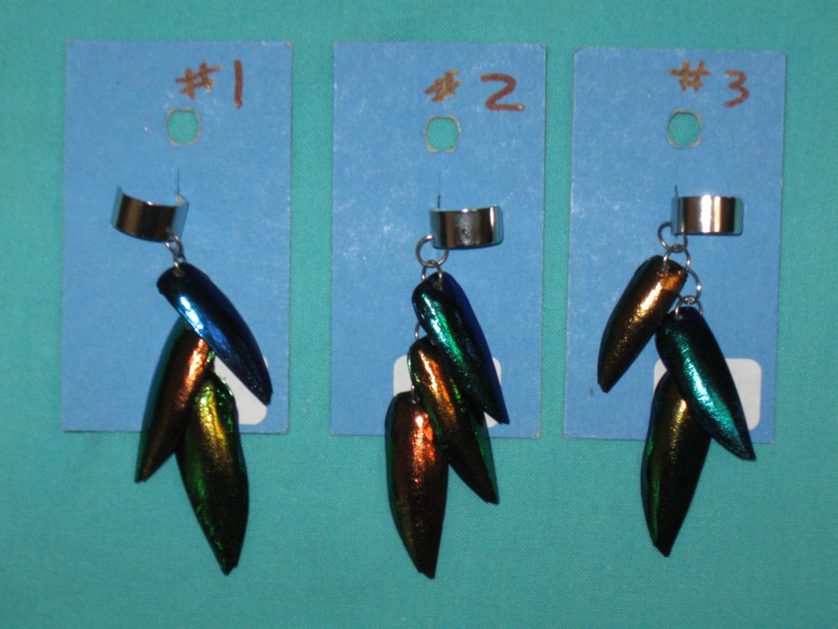 beetle wing ear cuffs picture