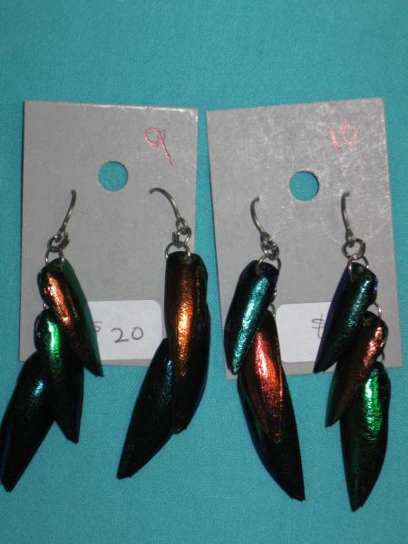 beetle wing earrings 9-12 picture