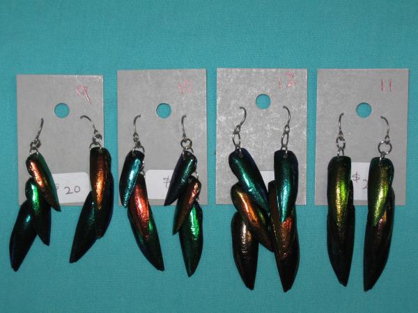 beetle wing earrings 9-12 picture