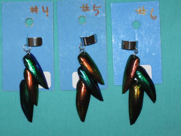 beetle wing ear cuffs picture