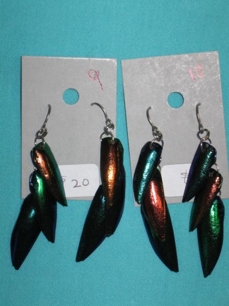 beetle wing earrings 9-12 picture