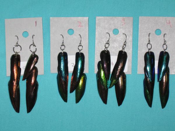 beetle wing earrings 1-4 picture