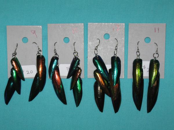 beetle wing earrings 9-12 picture