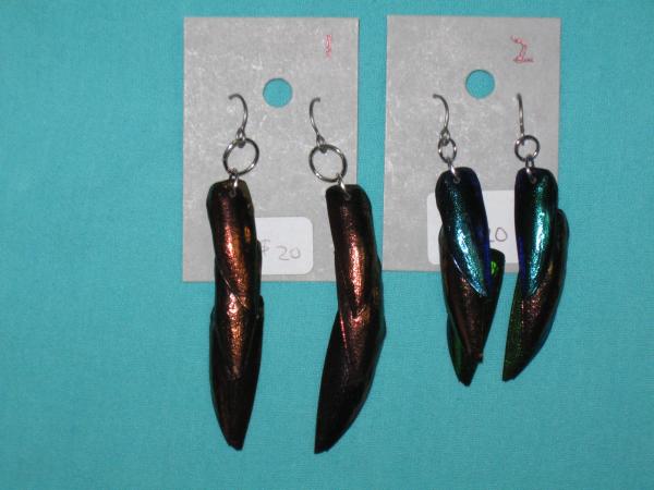 beetle wing earrings 1-4 picture
