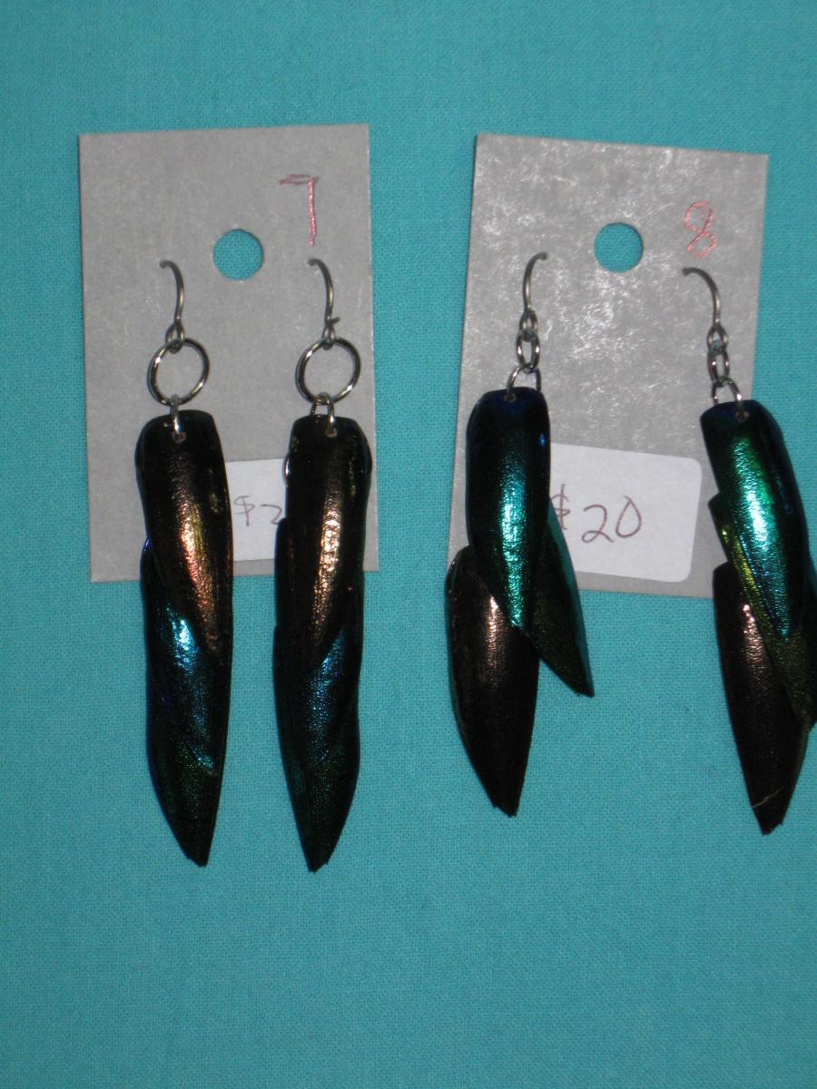 beetle wing earrings 5-8 picture