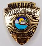 Sleepy Hollow TV Series Sheriff Prop Badge