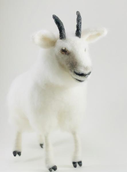 Needle Felted Rocky Mountain Goat picture