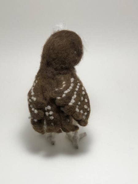 Needle Felted Owl, OOAK, Original Design picture