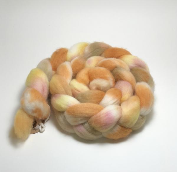 Polwarth Combed Top/Roving, Hand Painted, Hand Dyed, Indie Dyed picture