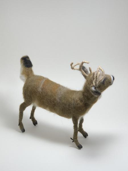 Needle Felted White Tail Deer Buck, OOAK, Original Design picture