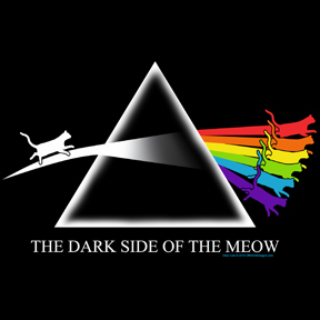 Dark Side Meow picture