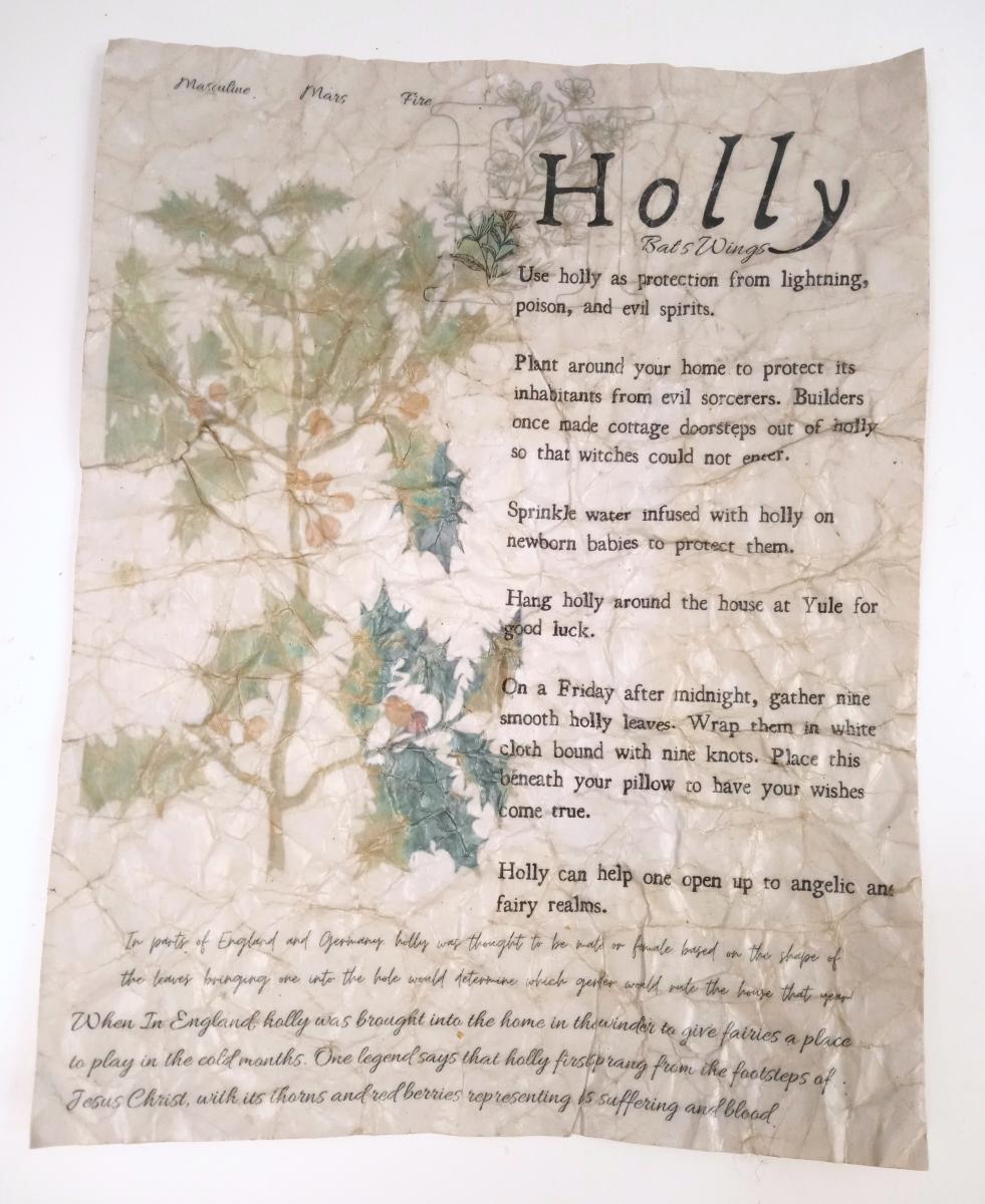 Magical Herbalism Grimoire Pages - Paper Props, Kitchen Witch Decor picture