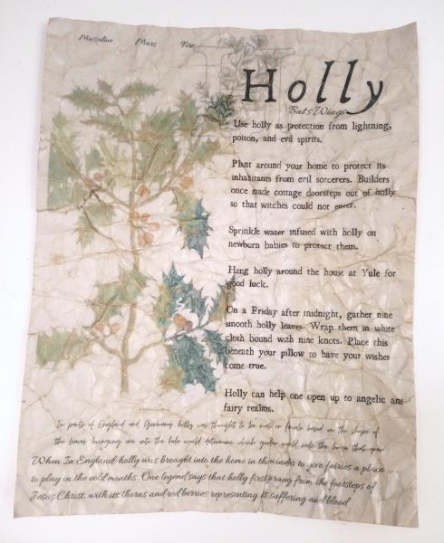 Magical Herbalism Grimoire Pages - Paper Props, Kitchen Witch Decor picture