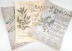 Magical Herbalism Grimoire Pages - Paper Props, Kitchen Witch Decor