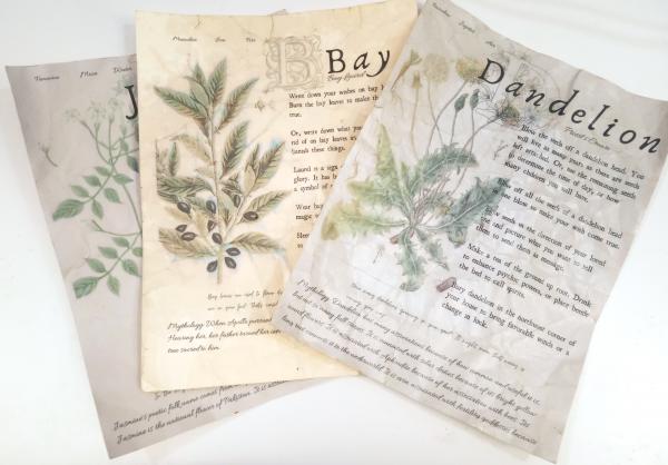 Magical Herbalism Grimoire Pages - Paper Props, Kitchen Witch Decor