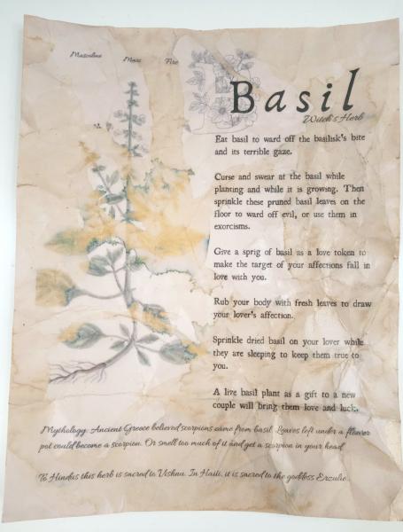 Magical Herbalism Grimoire Pages - Paper Props, Kitchen Witch Decor picture