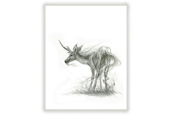Unicorn Deer limited edition print picture