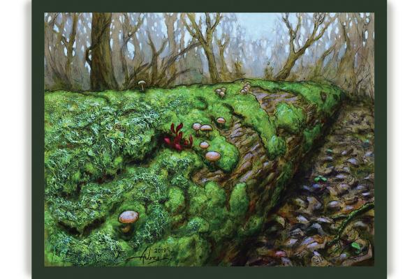 "Mossy Log" print
