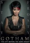 DC Comics Gotham TV Series Fish Mooney Photo Refrigerator Magnet Batman UNUSED