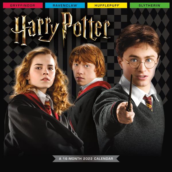 Harry Potter Movie Characters 16 Month 2022 Wall Calendar NEW SEALED picture