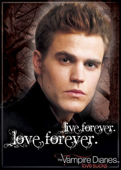 The Vampire Diaries TV Series Stefan Live Love Forever Refrigerator Magnet NEW 