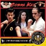 Cobra Kai TV Series 16 Month 2022 Photo Images Wall Calendar NEW SEALED