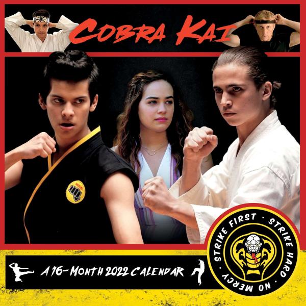 Cobra Kai TV Series 16 Month 2022 Photo Images Wall Calendar NEW SEALED