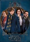 Fantastic Beasts Movie Cast Photo Image Refrigerator Magnet Harry Potter UNUSED