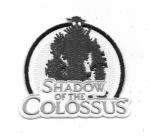 Shadow of the Colossus Video Game Name Logo Embroidered Patch NEW UNUSED