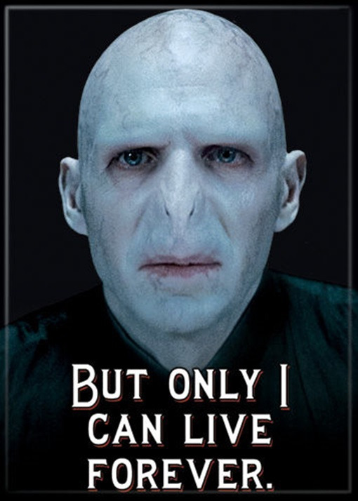Harry Potter Lord Voldemort "Live Forever" Refrigerator Magnet, NEW UNUSED