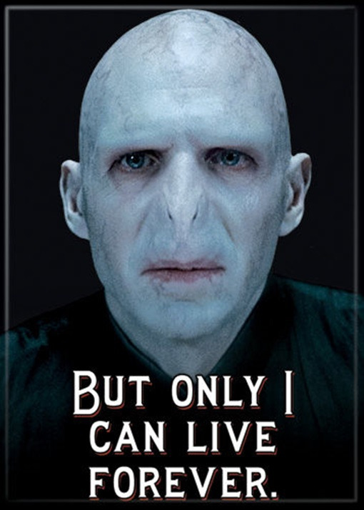 Harry Potter Lord Voldemort "Live Forever" Refrigerator Magnet, NEW UNUSED picture