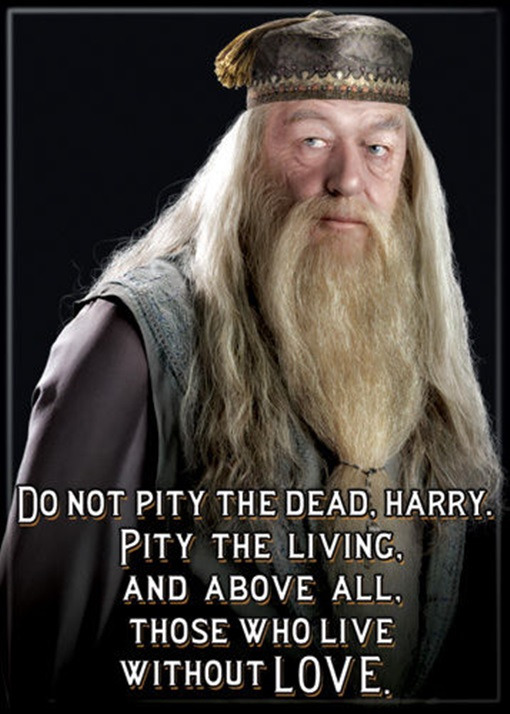 Harry Potter Dumbledore Saying "Do not pity the dead"  Refrigerator Magnet NEW