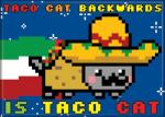 Nyan Cat Taco Cat Backwards Is Taco Cat Image Refrigerator Magnet, NEW UNUSED
