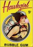 DC Comics Bombshells Hawkgirl Bubble Gum Art Refrigerator Magnet NEW UNUSED