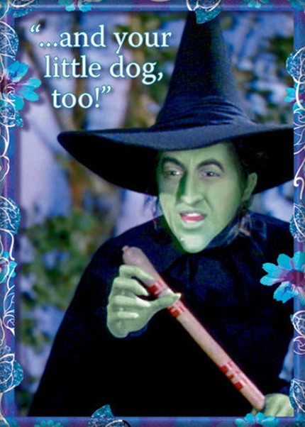 The Wizard of Oz Wicked Witch and Little Dog Too! Photo Refrigerator Magnet NEW picture