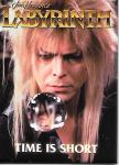 Labyrinth Movie Jareth Image Time Is Short Photo Refrigerator Magnet NEW