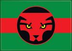 Marvel Comics The Black Panther Wakanda Flag Comic Art Refrigerator Magnet NEW