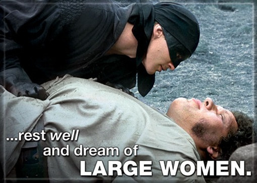 The Princess Bride Westley & Fezzik Dream of Large Women Refrigerator Magnet NEW picture