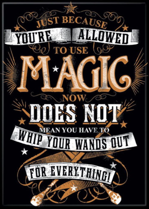 Harry Potter Whip Your Wands Out For Everything Refrigerator Magnet NEW UNUSED