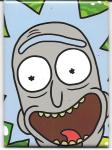 Rick and Morty Animated TV Series Rick Face Close Refrigerator Magnet