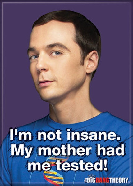 The Big Bang Theory Sheldon I'm Not Insane I Was Tested Photo Fridge Magnet NEW