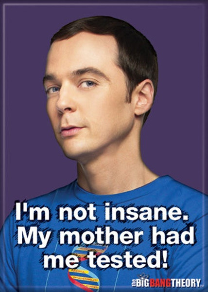 The Big Bang Theory Sheldon I'm Not Insane I Was Tested Photo Fridge Magnet NEW picture