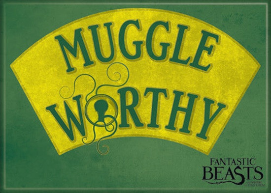 Fantastic Beasts Movie Muggle Worthy Refrigerator Magnet Harry Potter NEW UNUSED